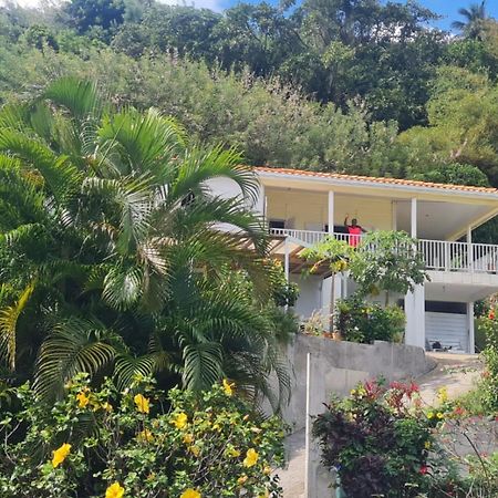 Villa Zephyr Domaine Roses Des Vents Sainte-Marie Dış mekan fotoğraf